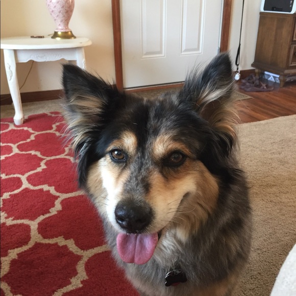 Meet your Posher, Maureen - Picture 1 of 1